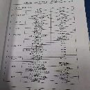 出售海天800双台卧加